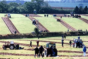 Ploughing - Straight and narrow... The furrows left by competing ploughmen