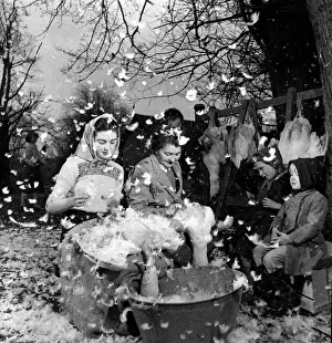 Core53 Prints: Plucking Geese - pauline Wills and Mrs Gladys Banks December 1957