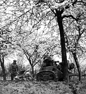 Ploughing Prints: Plum blossom in Kent Small tractors with ploughs being used by a worker to turn up