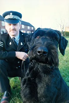 Police dog Kruger the Giant Schnauzer with his handler Paul Hedges