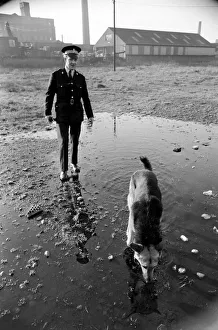 Police man and dog search for a man on the run at Droylsden