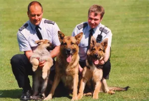 00073 Prints: Police Officer Paul Dover (right) with puppy Asa and its police dog parents