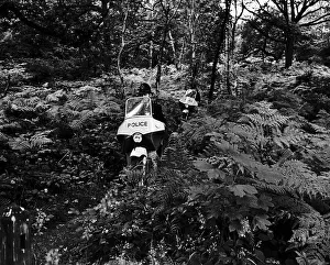 Forest Prints: Police Searching for a cheetah or leopard through four and a half square miles of