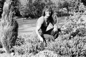 00269 Prints: Pop Singer Cliff Richard at home. 24th August 1978 Local Caption watscan