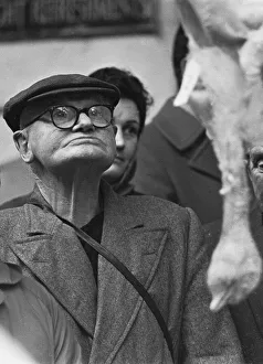 Sales Prints: A potential bidder eyeing up the next bird to go under the hammer at the Christmas Turkey
