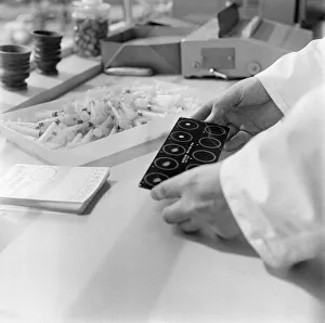 Pregnancy tests being made at the Belmont Laboratory, Middlesex. July 1968