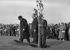 University Prints: Former Prime Minister Winston Churchill (left) planting an oak tree to inaugurate work