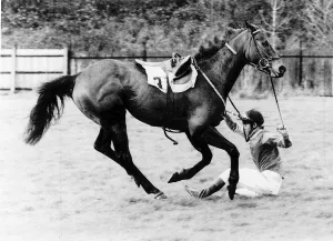 Prince Charles falls off Good Prospect during the grand military cup at Sandown Park