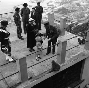 British Overseas Terrirory Prints: Prince Charles and Princess Anne May 1954 are given food to feed the Barbary Apes
