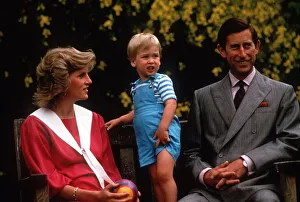 Prince Charles and Princess Diana pose with their son Prince William at a photocall in