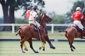 Prince Charles (Red shirt wearing number 3) was locked in a fierce battle with Princess