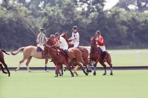 01049 Prints: Prince Charles (Red shirt wearing number 3) was locked in a fierce battle with Princess