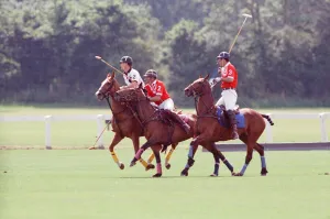 01049 Prints: Prince Charles (Red shirt wearing number 3) was locked in a fierce battle with Princess