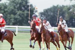 Prince Charles (Red shirt wearing number 3) was locked in a fierce battle with Princess