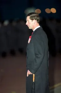 01495 Prints: PRINCE CHARLES AT REMEMBRANCE SUNDAY CEREMONY IN WHITEHALL - 1991 / 10353