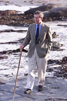 Walking Stick Prints: Prince Charles on Seal Island in March 1999 Falkland Islands
