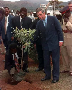 Prince Charles talked to this tree wishing it good luck as he planted it outside