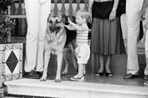Stripes Collection: Prince Harry befriends the family dog. Rest of this picture set