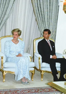 Prince and Princess of Wales, Middle East Tour November 1986