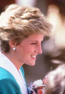 Prince and Princess of Wales, Middle East Tour November 1986
