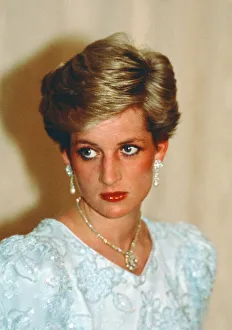 Prince and Princess of Wales, Middle East Tour November 1986
