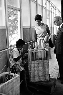 Princess Alexandra of Kent visits the Reilly Centre for the Blind in Aden, Yemen