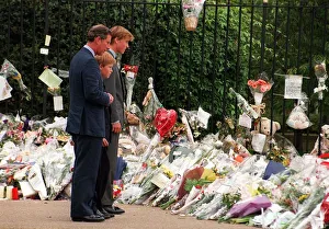 Brothers Prints: Princess Diana Death 31 August 1997 Prince Charles with Prince William