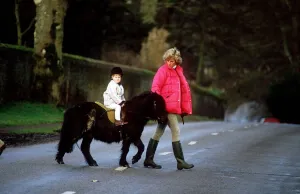 Princess Diana leading a young Prince Harry and his shetland pony across the road