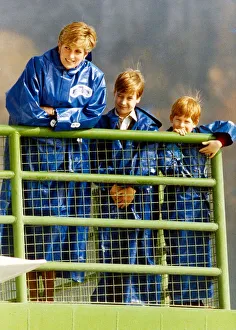 Brothers Prints: Princess Diana with Prince Harry and William on the Maid of the Mist at Niagra Falls