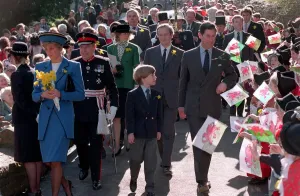 01495 Prints: PRINCESS DIANA, PRINCE WILLIAM AND PRINCE CHARLES WALKING THROUGH CROWDS OF FANS AS THEY