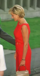 Princess Diana visits Northwick Park Hospital in Harrow, North London