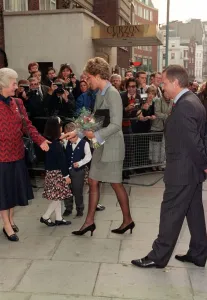 00085 Prints: Princess of Wales, who has been appointed vice-President of the British Red Cross
