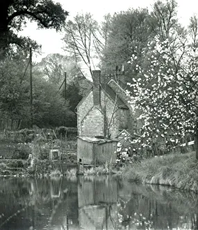 Cottage Prints: Quaint rural house set on the side of a lake surrounded by fruit tree blossoms