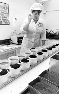 Quality controller Sally Nicholas checks the tea for taste at the Tetley Tea factory