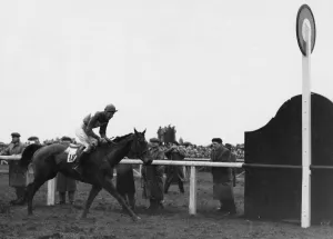 Horse Prints: Quare Times seen here winning the 1955 Grand National 28th March 1955