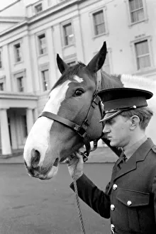 The Queen has bought Cicero'an Edinburgh Co-operative Society milk horse