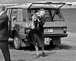 Carrying Prints: Queen Elizabeth II with one of her corgi dogs. After taking a break in Balmoral