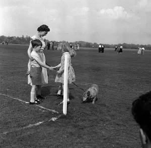 Queen Elizabeth II with Prince Charles and Princess Anne May 56 watch the Duke of
