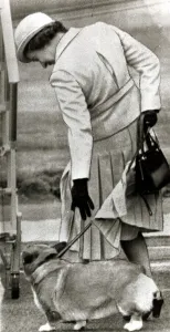 Glove Prints: Queen Elizabeth II tries to bring a Corgi to heel at Aberdeen airport September