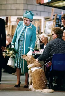 Manchester Collection: Queen Elizabeth II visits Manchester. The Queen pats a dog at Hopwood Hall