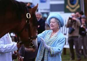 00189 Prints: Queen Mother August 1986 at the catle market Black Isle stroking a horse C / T Roy