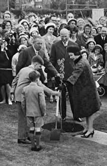 Large Crowd Prints: The Queen palnts a tulip tree in the grounds of Solihull School with the help of two of