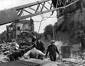 Queenie, a dog who lost her home, waiting to be taken away after a V1 flying bomb attack