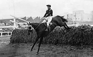 Steeplechase Prints: Racehorse Foinavon, ridden by jockey John Buckingham on his way to win the Grand national