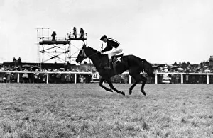 Racehorse Foinavon, ridden by jockey John Buckingham on his way to win the Grand national