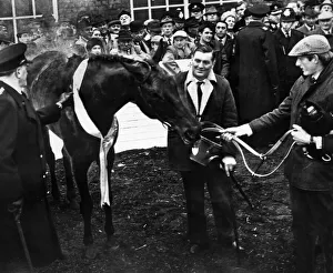 01056 Prints: Racehorse Foinavon, ridden by jockey John Buckingham wins the Grand national at Aintree