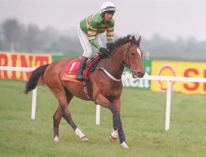 Racecourse Prints: Racehorse Istabraq and jockey Charlie Swan at Punchestown