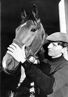 Stable Prints: Racehorse Vaguely Noble photographed at his stable in Newmarket, today