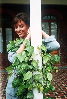 Rachel Ward actress