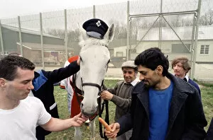Images Dated 3rd July 2012: Racing legend Desert Orchid visits inmates at Ashwell Prison, Leicestershire